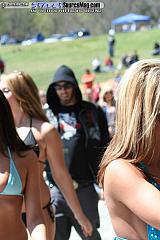 laydout06 Show Images Page 7