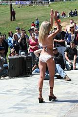 laydout06 Show Images Page 7