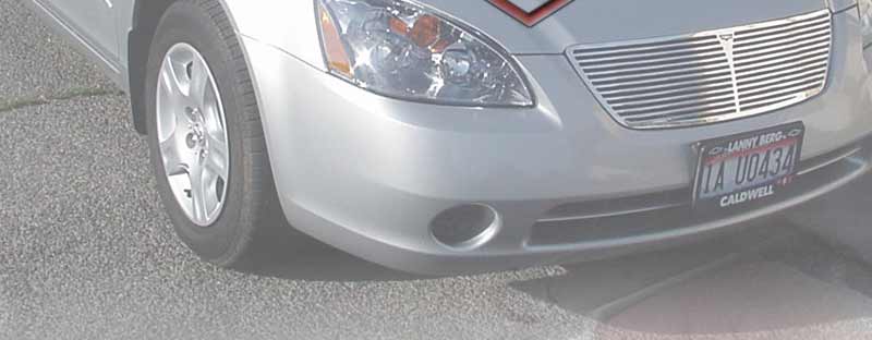 Bringing forth new Trenz