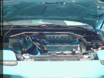 daytona Show Images Page 2