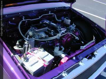 tarheel Show Images Page 1