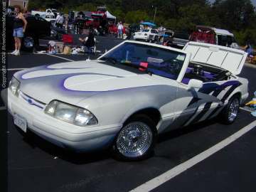 tarheel Show Images Page 2