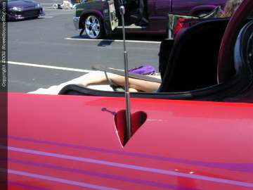 tarheel Show Images Page 4