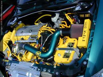 tarheel Show Images Page 9