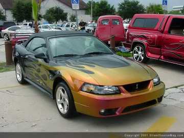 midyear Show Images Page 2