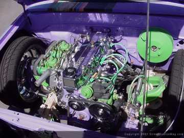 thw Show Images Page 10