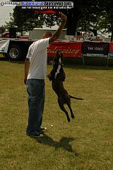 midwest Show Images Page 5