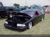 Slamboree Show Images Page 3