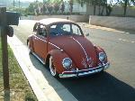 1964 Volkswagen Bug