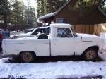 1964 Ford F100