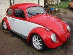 1964 Volkswagen Bug