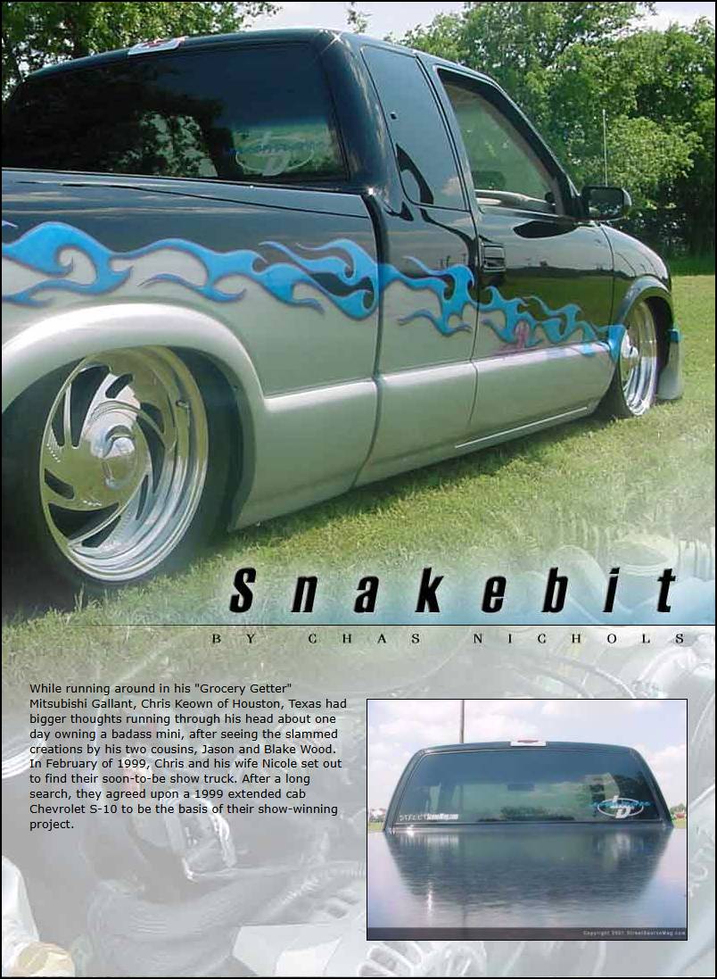 SnakeBit
